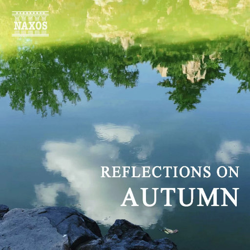 禅狱工作室大佬重购驷马
